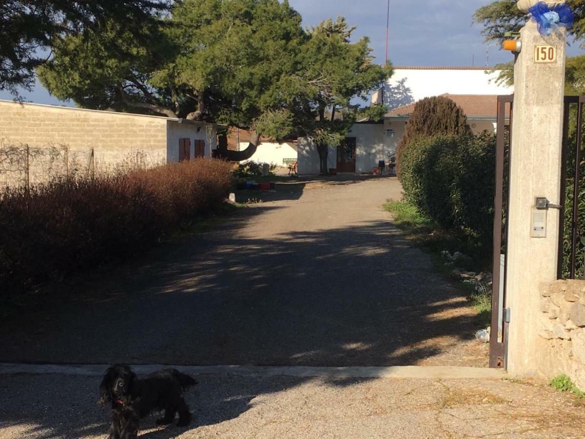B&B Nuzzi Cassano delle Murge Exterior photo